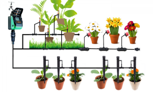 giấy dán tường