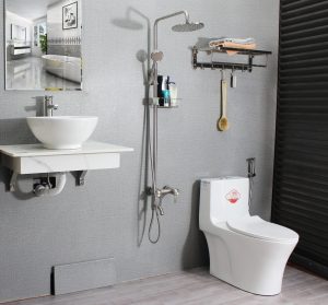 Thiết bị vệ sinh giá rẻ làm sao cho chất lượng?